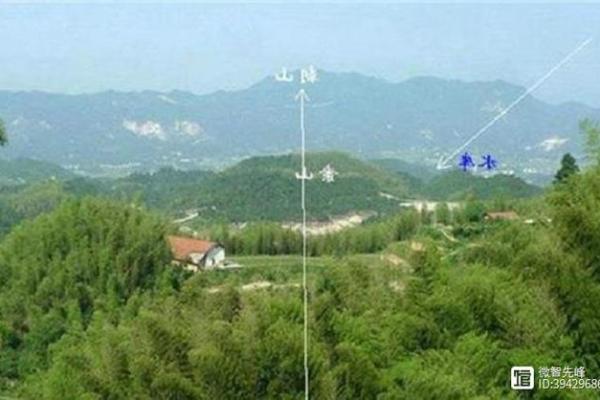 算命是看阳宅还是阴宅准
