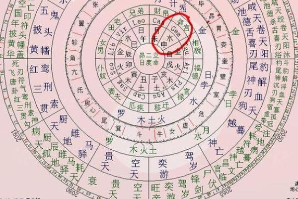 紫薇斗数和西方占星术