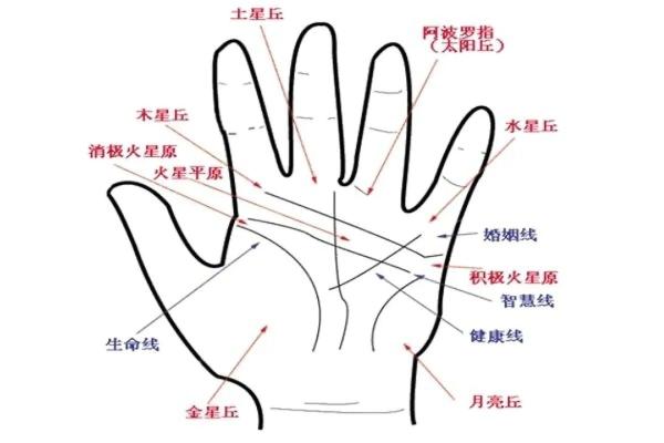 男人手相算命图解揭密男人命运