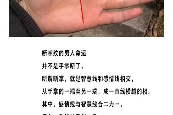 男人手相算命图解揭密男人命运
