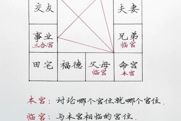 紫薇斗数每个格子什么内容