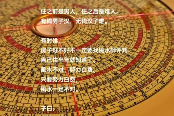 哪个风水大师给看看房子