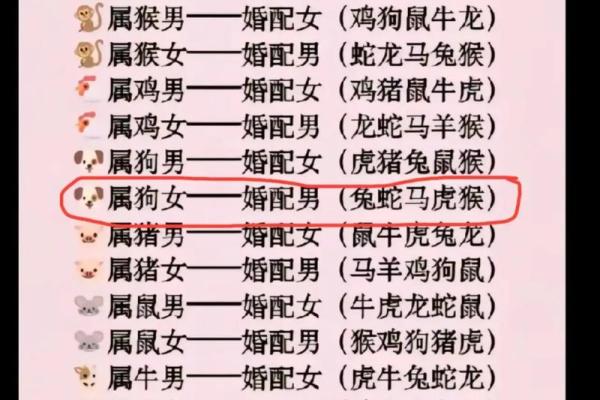 猪的生肖配对