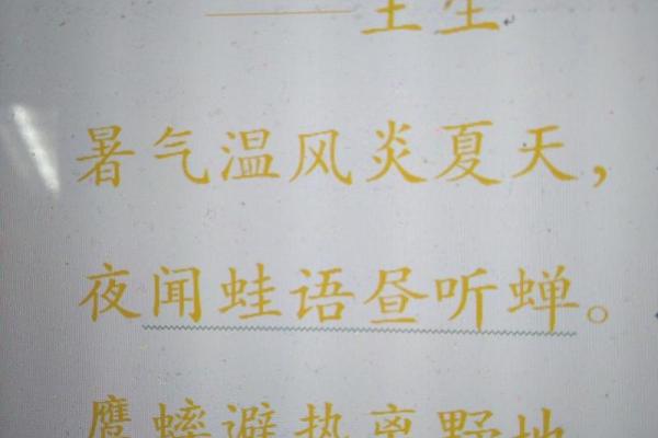 小暑的诗 小暑的主要节气民俗