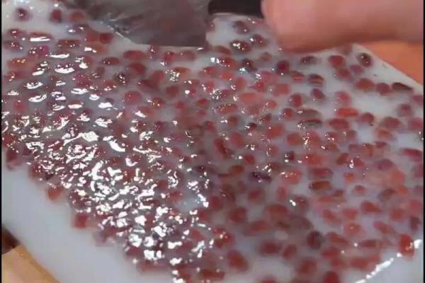 果冻小百科：品尝果冻美食，发现新口味！
