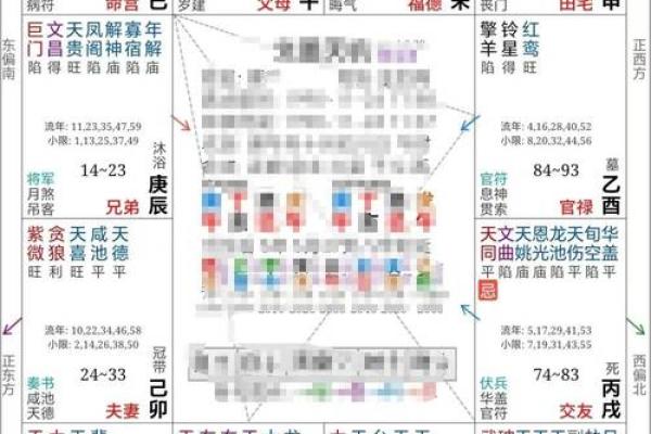 紫薇斗数中的加什么意思 紫薇斗数中的加什么意思