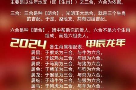 属鼠和属兔的八字合不合得来,属兔的跟属鼠的合财吗