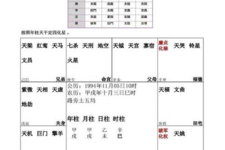 紫微斗数排盘疾厄宫自化忌是什么意思？