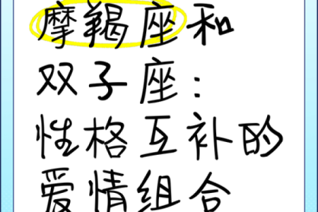 金星双子座和金星摩羯座星座配对