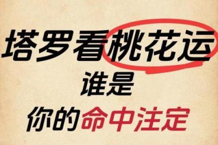 塔罗测试：十二月桃花运？