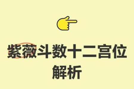 斗数紫薇阁