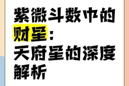 天府星在紫微斗数中的含义