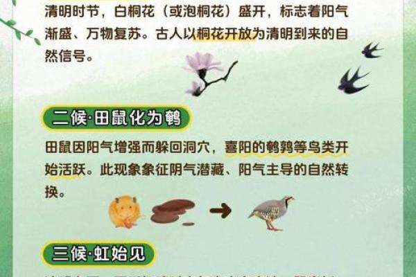 二十四节气之清明的民俗与养生