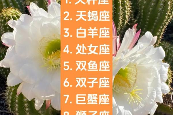 天秤和天秤配对合适吗 天秤男为什么会爱天秤女