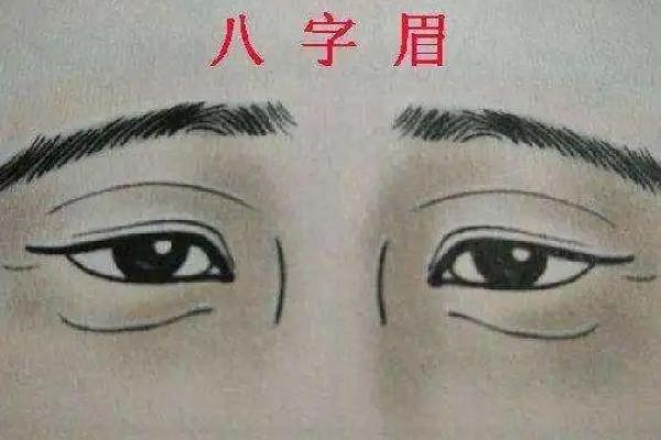 面相看八字眉的男人值不值得嫁