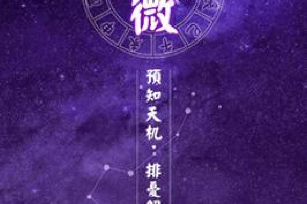 倪师设计紫薇斗数