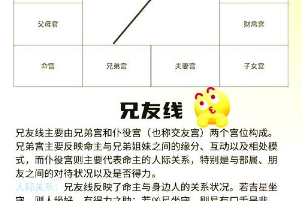 紫薇斗数怎么看分家