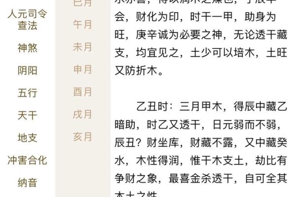 八字天元坐录详解：命盘分析、五行缺失、流年吉凶通解