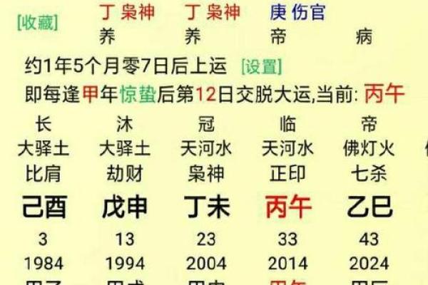 八字天元坐录详解：命盘分析、五行缺失、流年吉凶通解