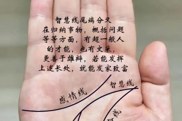 《手相学习百科》：智慧线