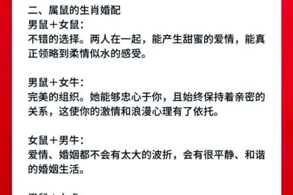 什么样的特质和条件使得婚姻配对互相般配