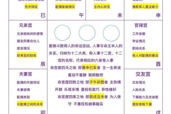 算卦紫薇斗数梅花易数
