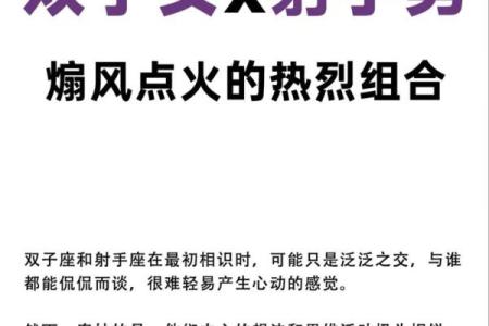 双子射手配对指数分析