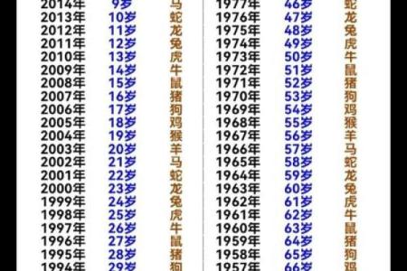 生辰八字测一生运势图