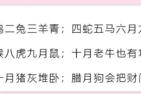 生肖月份配对大揭秘，十二生肖月份怎么搭配最合适