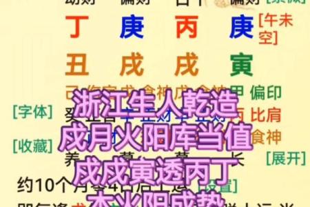 两库八字