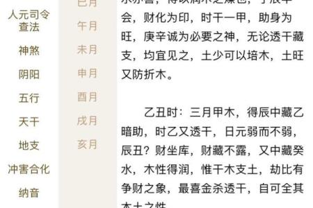 八字天元坐录详解：命盘分析、五行缺失、流年吉凶通解