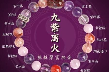 命带紫薇星是什么