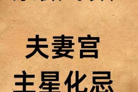 紫微斗数之子女宫与诸星，天相星在子女宫是什么意思？