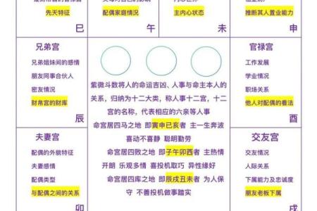 算卦紫薇斗数梅花易数