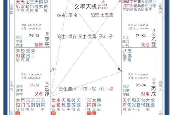 紫薇斗数看相应