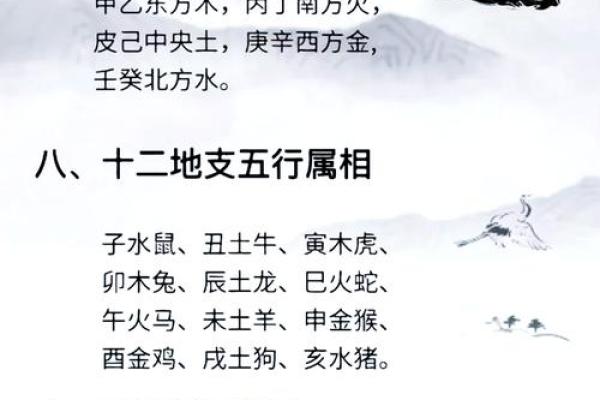 梅花易数与八字命理的区别
