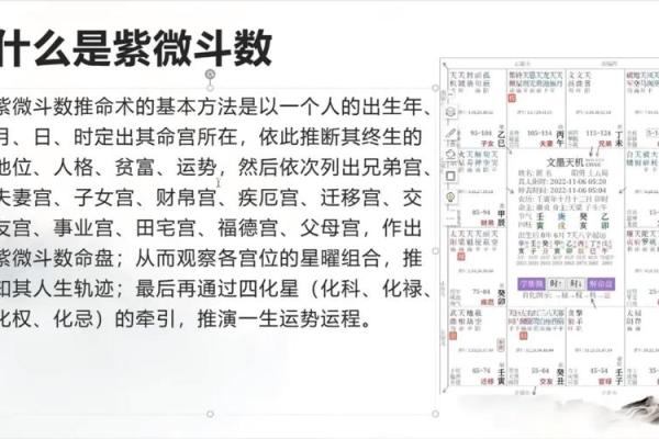 紫微斗数术语解释之：强宫、弱宫