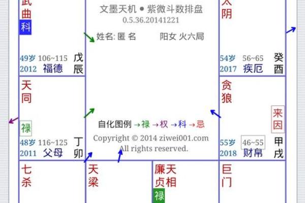 最准紫薇斗数app