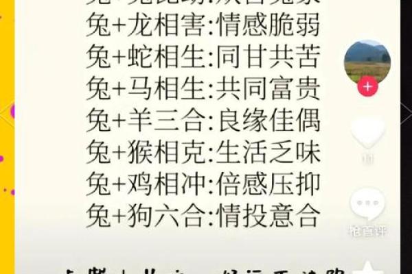 1999年属兔最佳结婚年龄