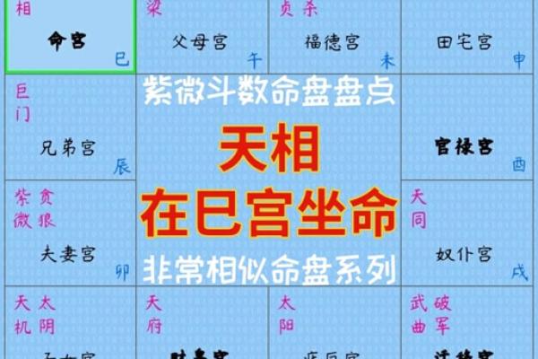 紫微斗数命盘大运流年解析0623