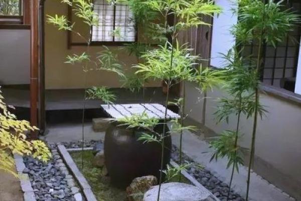竹子在院子哪个方位好