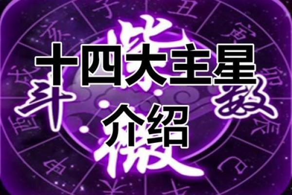 帅哥紫薇斗数