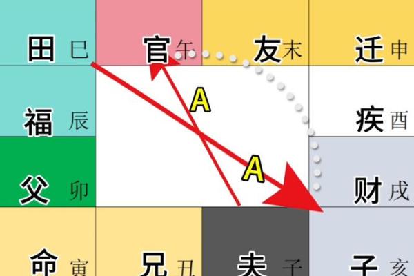 神巴巴紫薇斗数排盘