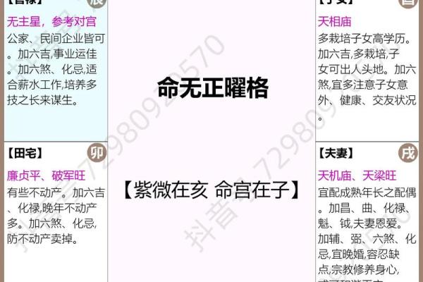 紫薇斗数部署宫