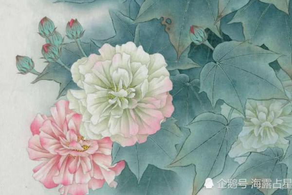 月老灵签生肖排行榜最新