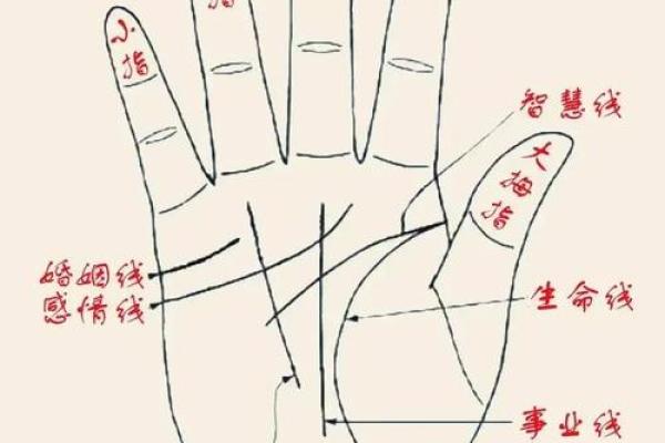 《手相学习百科》：指纹