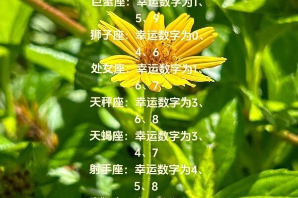 十二星座的幸运数字 十二星座的幸运色