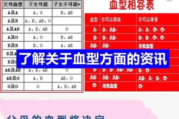 个人血型查询网 怎样查询个人血型
