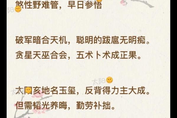 红尘相遇紫薇斗数