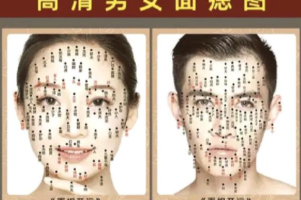 如何从女人下巴面相算命